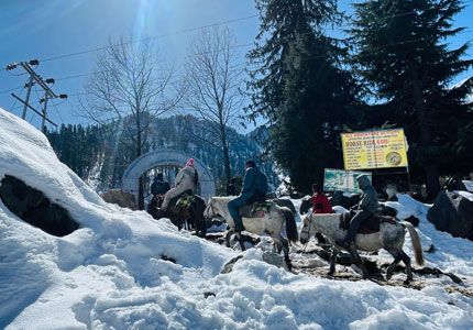 Amritsar Shimla Manali Tour