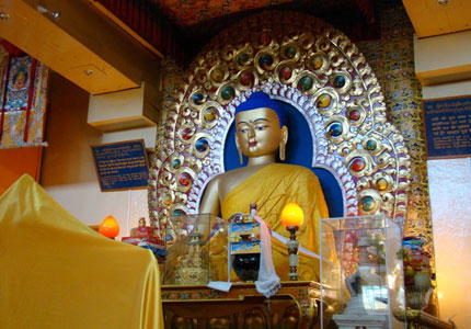 Amritsar Dharamshala 4 Days Package