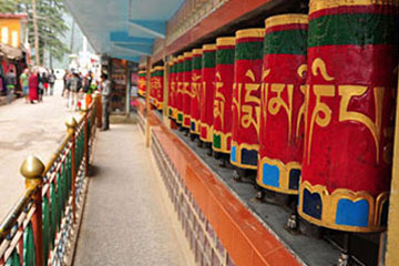 Dharamshala Mcleodganj Tour